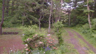 長野県菅平高原 ゆたか山荘 坂上 2026/06/11 18:45