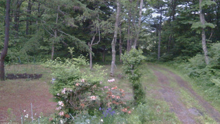 長野県菅平高原 ゆたか山荘 坂上 2026/06/11 19:00