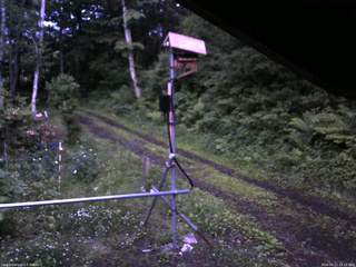 長野県菅平高原 ゆたか山荘 南側 2026/06/12 19:15