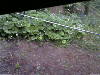 長野県菅平高原 ゆたか山荘 駐車場 2026/06/12 05:45