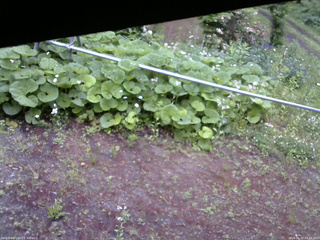 長野県菅平高原 ゆたか山荘 駐車場 2026/06/12 07:45