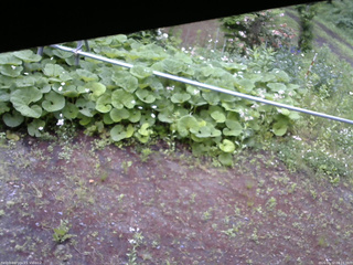 長野県菅平高原 ゆたか山荘 駐車場 2026/06/12 08:15