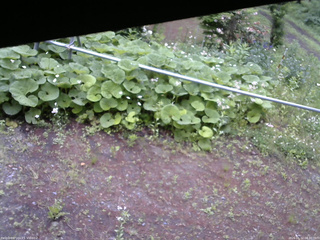 長野県菅平高原 ゆたか山荘 駐車場 2026/06/12 08:30