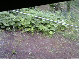 長野県菅平高原 ゆたか山荘 駐車場 2026/06/12 08:45