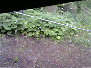 長野県菅平高原 ゆたか山荘 駐車場 2026/06/12 09:15