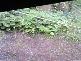 長野県菅平高原 ゆたか山荘 駐車場 2026/06/12 09:30
