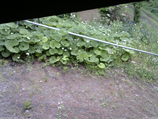 長野県菅平高原 ゆたか山荘 駐車場 2026/06/12 10:15