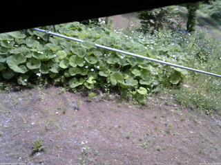 長野県菅平高原 ゆたか山荘 駐車場 2026/06/12 10:30