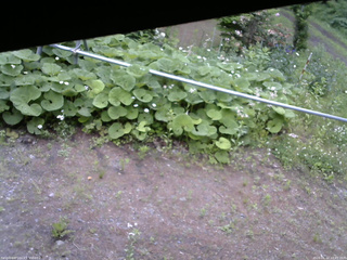 長野県菅平高原 ゆたか山荘 駐車場 2026/06/12 10:45