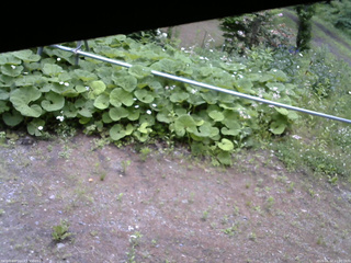 長野県菅平高原 ゆたか山荘 駐車場 2026/06/12 11:00