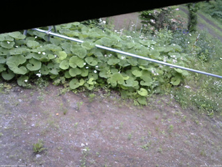 長野県菅平高原 ゆたか山荘 駐車場 2026/06/12 11:30
