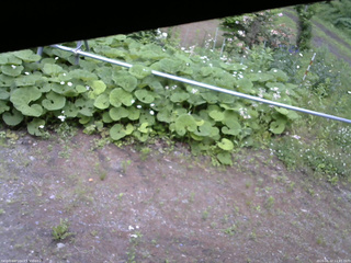 長野県菅平高原 ゆたか山荘 駐車場 2026/06/12 11:45