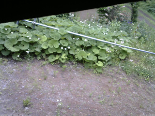 長野県菅平高原 ゆたか山荘 駐車場 2026/06/12 13:15