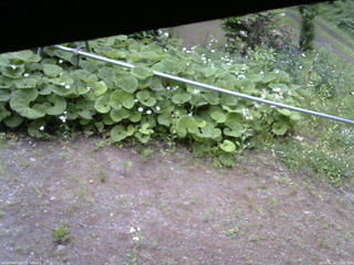 長野県菅平高原 ゆたか山荘 駐車場 2026/06/12 13:45