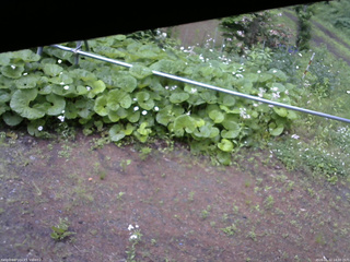 長野県菅平高原 ゆたか山荘 駐車場 2026/06/12 14:00