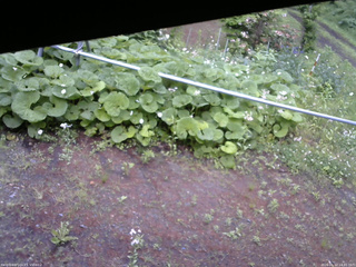 長野県菅平高原 ゆたか山荘 駐車場 2026/06/12 14:45