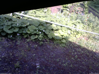 長野県菅平高原 ゆたか山荘 駐車場 2026/06/12 16:00