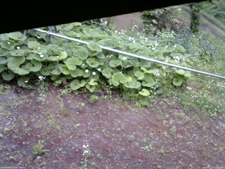 長野県菅平高原 ゆたか山荘 駐車場 2026/06/12 17:00