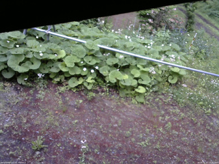 長野県菅平高原 ゆたか山荘 駐車場 2026/06/12 17:30