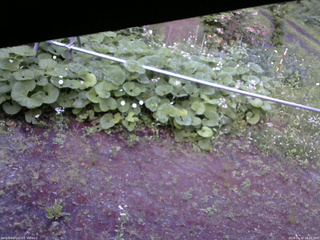 長野県菅平高原 ゆたか山荘 駐車場 2026/06/12 18:45