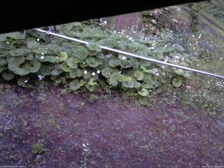 長野県菅平高原 ゆたか山荘 駐車場 2026/06/12 19:00