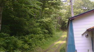 長野県菅平高原 ゆたか山荘 ゆたか山荘 2026/06/12 10:30