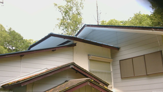 長野県菅平高原 ゆたか山荘 駐車場奥 2026/06/12 10:30