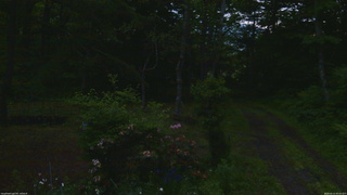 長野県菅平高原 ゆたか山荘 坂上 2026/06/12 05:00