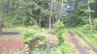 長野県菅平高原 ゆたか山荘 坂上 2026/06/12 06:15