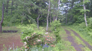 長野県菅平高原 ゆたか山荘 坂上 2026/06/12 06:30