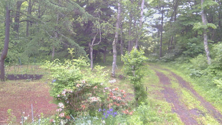 長野県菅平高原 ゆたか山荘 坂上 2026/06/12 06:45