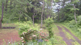 長野県菅平高原 ゆたか山荘 坂上 2026/06/12 07:00