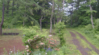長野県菅平高原 ゆたか山荘 坂上 2026/06/12 07:15