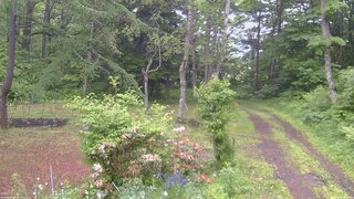 長野県菅平高原 ゆたか山荘 坂上 2026/06/12 07:30