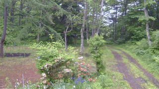 長野県菅平高原 ゆたか山荘 坂上 2026/06/12 07:45