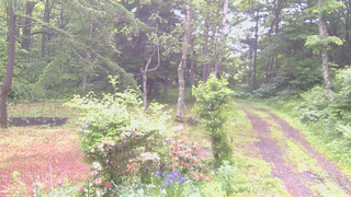 長野県菅平高原 ゆたか山荘 坂上 2026/06/12 08:00