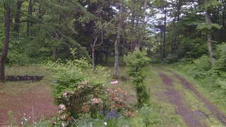 長野県菅平高原 ゆたか山荘 坂上 2026/06/12 08:30