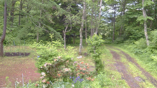 長野県菅平高原 ゆたか山荘 坂上 2026/06/12 09:00