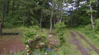 長野県菅平高原 ゆたか山荘 坂上 2026/06/12 09:15