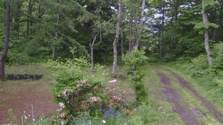 長野県菅平高原 ゆたか山荘 坂上 2026/06/12 09:30