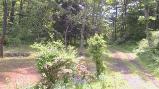 長野県菅平高原 ゆたか山荘 坂上 2026/06/12 09:45