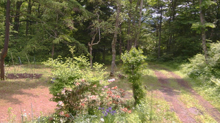 長野県菅平高原 ゆたか山荘 坂上 2026/06/12 10:30
