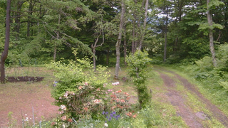 長野県菅平高原 ゆたか山荘 坂上 2026/06/12 11:15