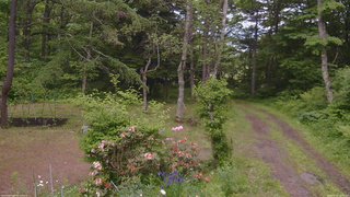 長野県菅平高原 ゆたか山荘 坂上 2026/06/12 11:30
