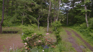 長野県菅平高原 ゆたか山荘 坂上 2026/06/12 11:45