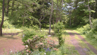 長野県菅平高原 ゆたか山荘 坂上 2026/06/12 12:00