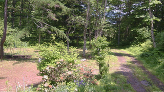 長野県菅平高原 ゆたか山荘 坂上 2026/06/12 12:45