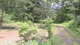 長野県菅平高原 ゆたか山荘 坂上 2026/06/12 13:00
