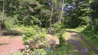 長野県菅平高原 ゆたか山荘 坂上 2026/06/12 13:30