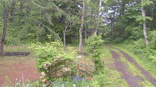 長野県菅平高原 ゆたか山荘 坂上 2026/06/12 14:15